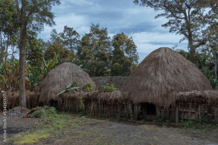 Jasa Pembuatan Rumah  Kayu Kabupaten Jayawijaya TERMURAH