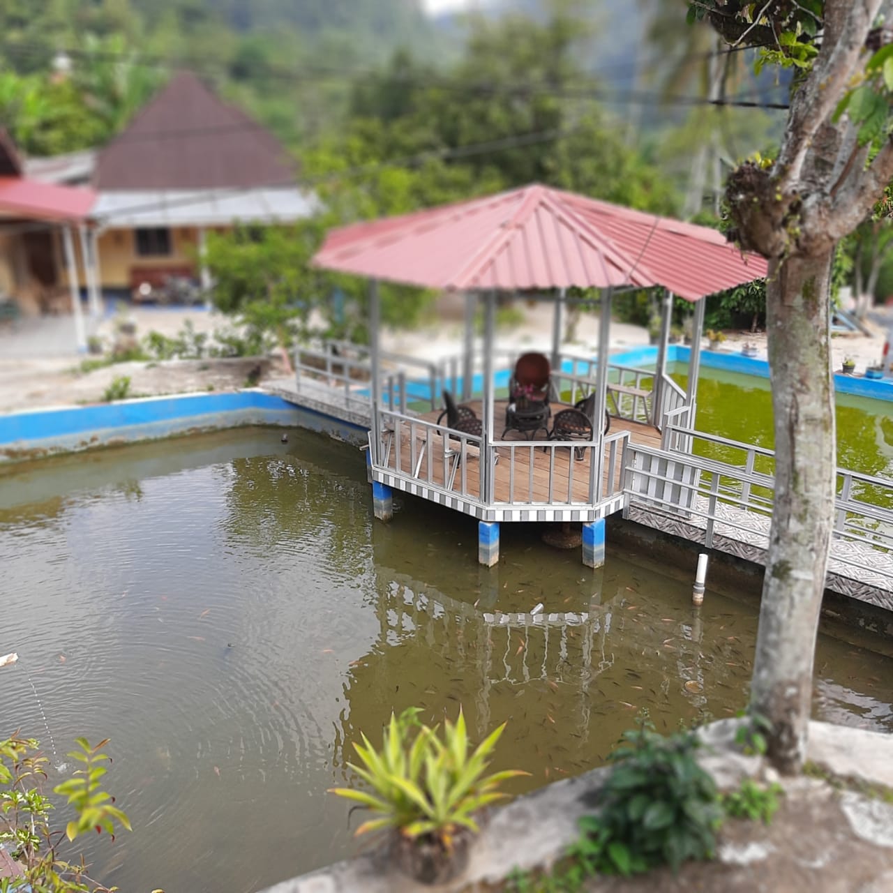 Harga Pembuatan Villa Kayu Kota Sawah Lunto TERMURAH