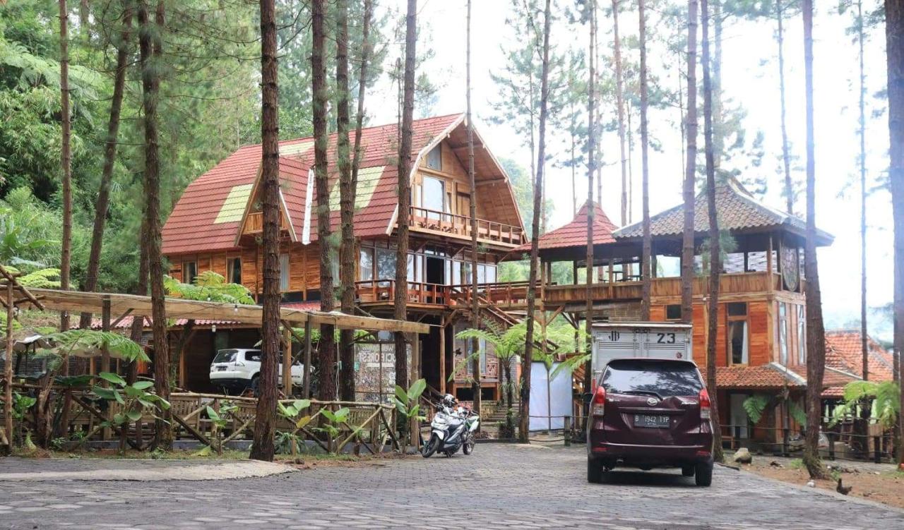 Villa wooden accomodation