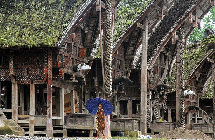 Harga Pembuatan Rumah  Kayu Kabupaten Toraja Utara TERMURAH