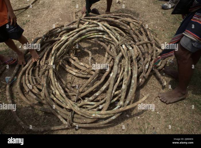 Jasa Pembuatan Rumah  Kayu Kabupaten Sumba Timur TERMURAH