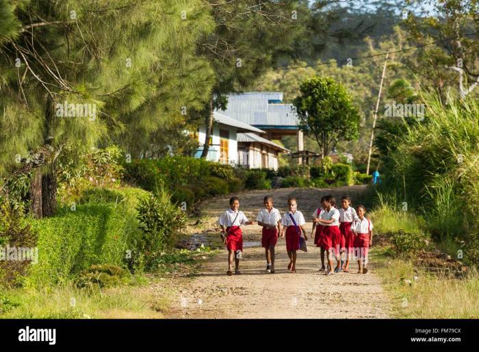 Harga Pembuatan Villa Kayu Kabupaten Timor Tengah Selatan TERMURAH