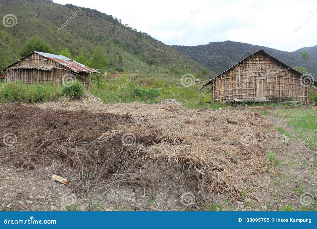 Harga Pembuatan Rumah  Kayu Kabupaten Pegunungan Arfak TERMURAH