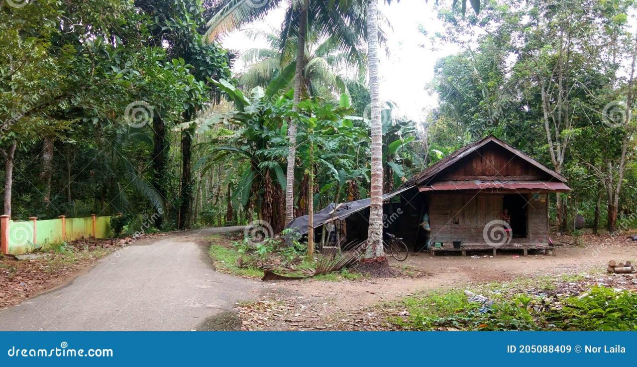 Harga Pembuatan Rumah  Kayu Kalimantan Tengah PROMO BESAR